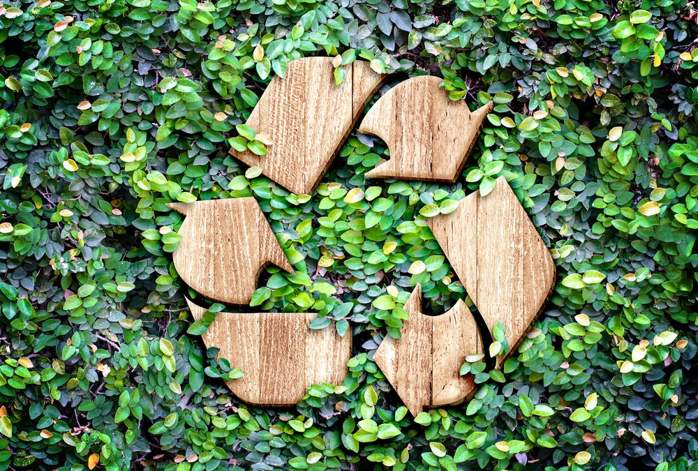 5 Surprising Items that You Can’t Recycle