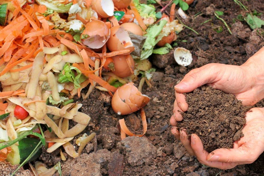 make your own garden soil with organic compost