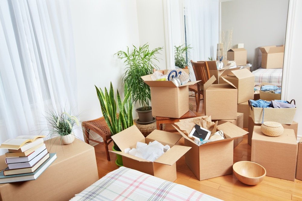 The Emotional Impact of Clutter