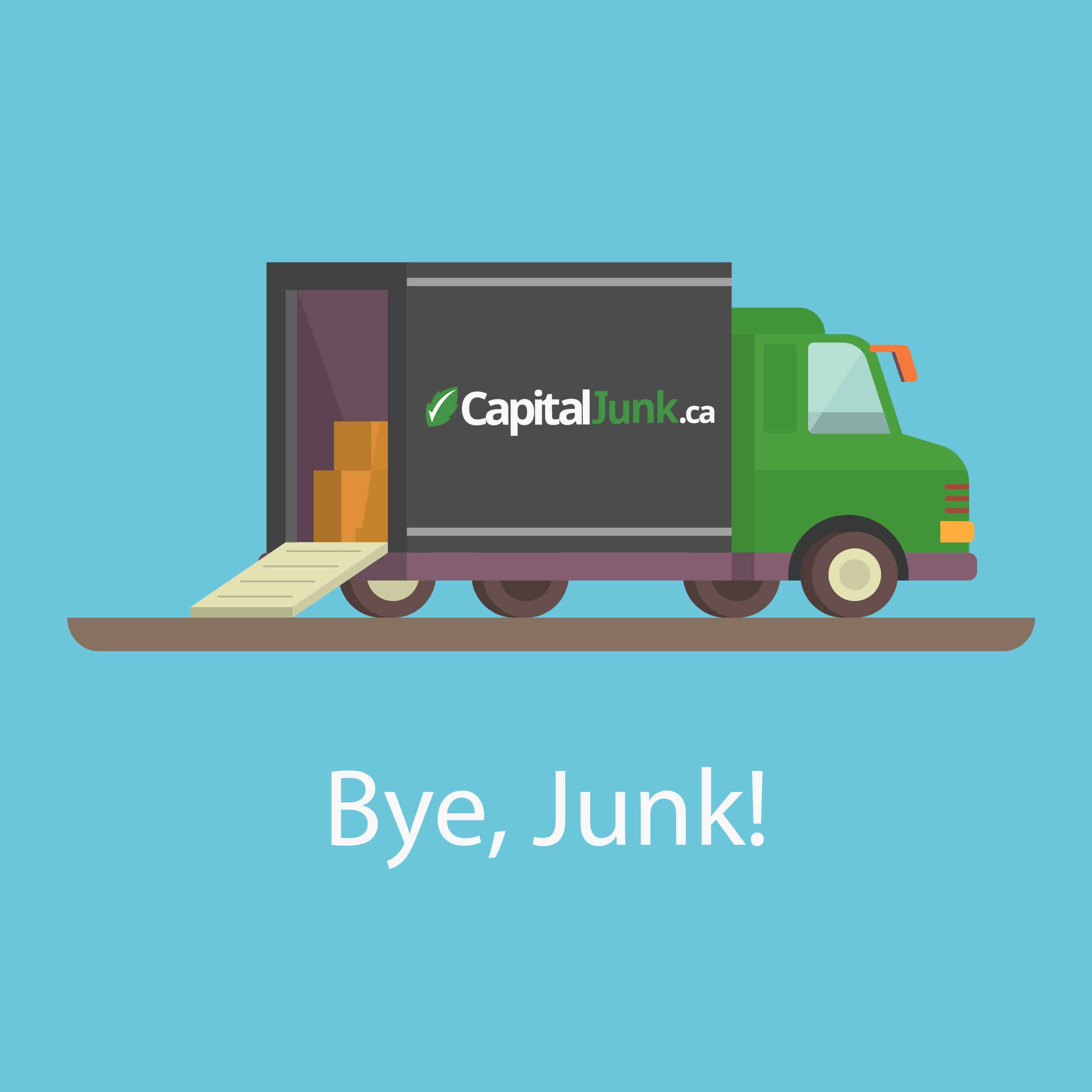 bye-junk-icon