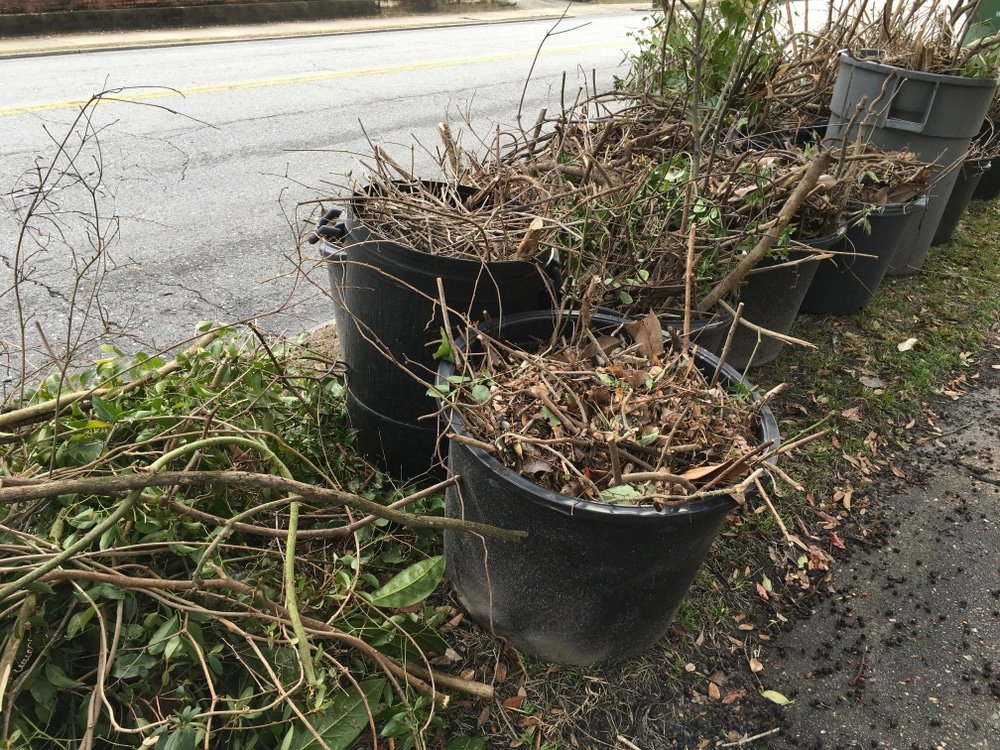 yard waste for pick up in ottawa