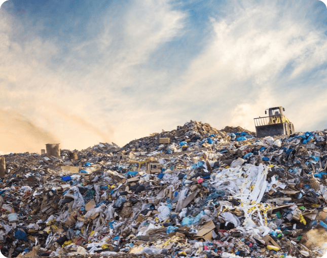 environmentally friendly disposal services ottawa