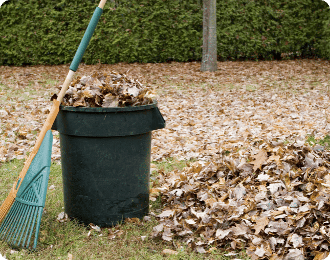 yard debris removal in ottawa 