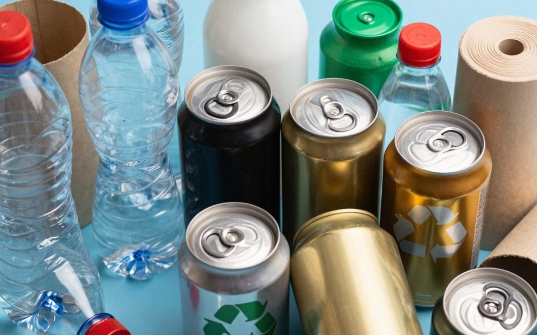 What Goes in the Blue Bin in Ottawa: A Simple Recycling Guide